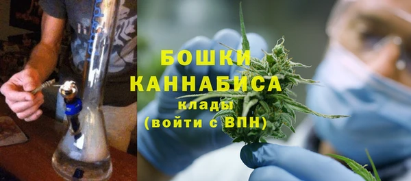 амф Осташков