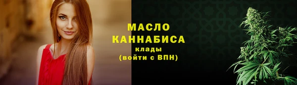индика Нязепетровск