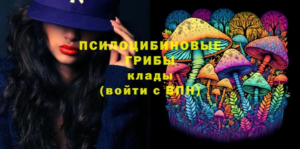 амф Осташков