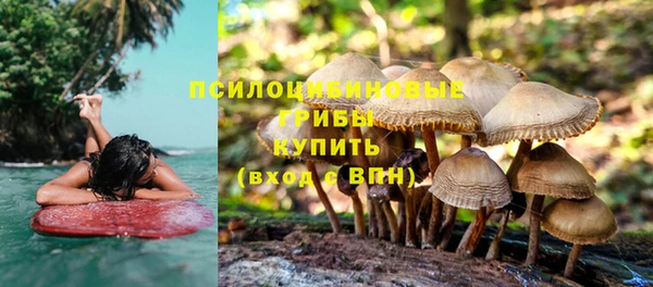 мдма Осинники