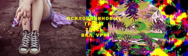 амф Осташков