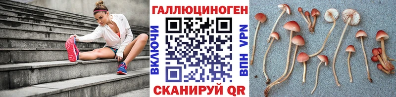 hydra сайт Коркино Псилоцибиновые грибы GOLDEN TEACHER как найти