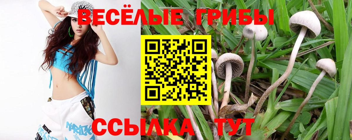 Псилоцибиновые грибы Magic Shrooms Коркино